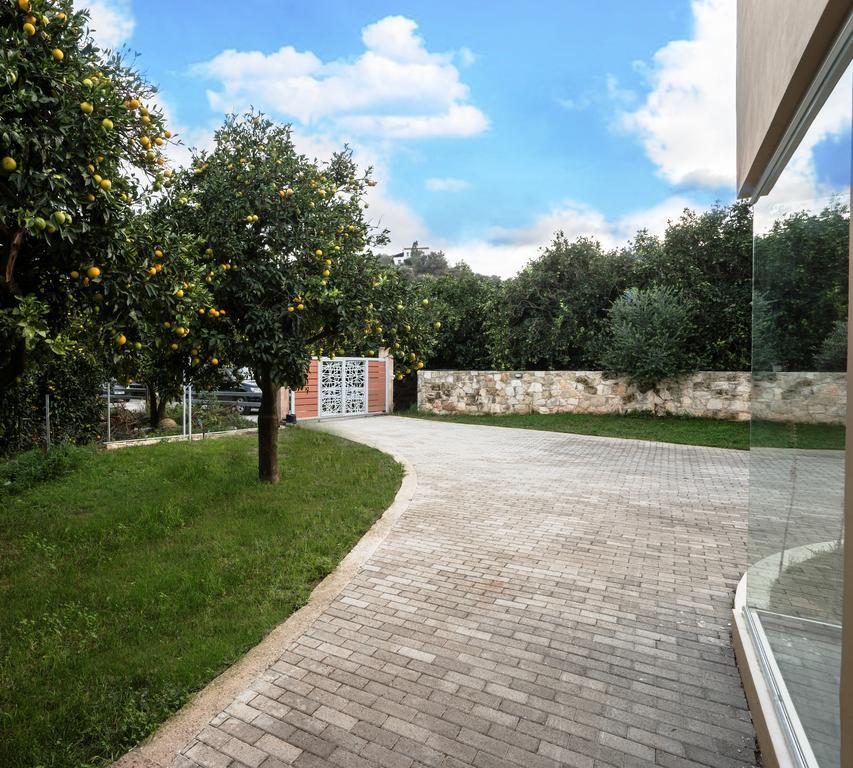 Villa Casa Di Verde Πατελλάρι Εξωτερικό φωτογραφία